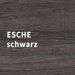 09 - Holz-Diedrich GmbH - Türen-Spezialist - Zimmertüren - Holzarten - Esche schwarz