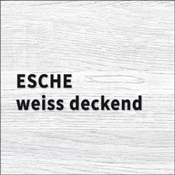 10 - Holz-Diedrich GmbH - Türen-Spezialist - Zimmertüren - Holzarten - Esche weiss deckend