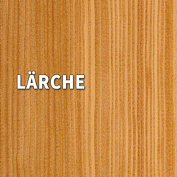 14 - Holz-Diedrich GmbH - Türen-Spezialist - Zimmertüren - Holzarten - Lärche