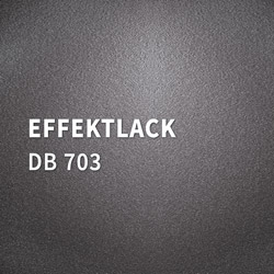 Holz-Diedrich GmbH - Türen-Spezialist - 01 RAL-Edition - Effektlack DB703 FS