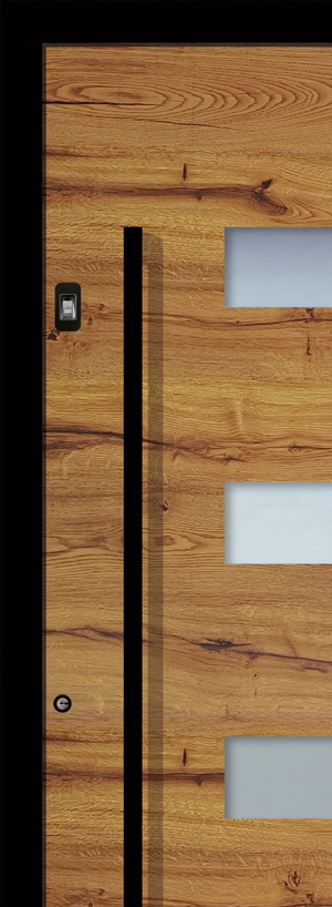 Holz-Diedrich GmbH - Türen-Spezialist - Haustüren aus Aluminium - DESIGN - RAL-Edition - Tiefschwarz
